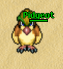 Shiny Pidgeot
